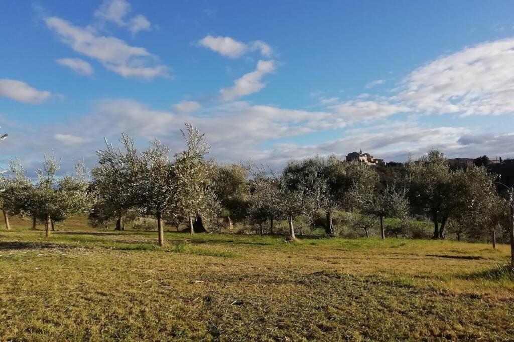 Casa Kikenda, Viaggio Nella Natura Treia Exterior foto