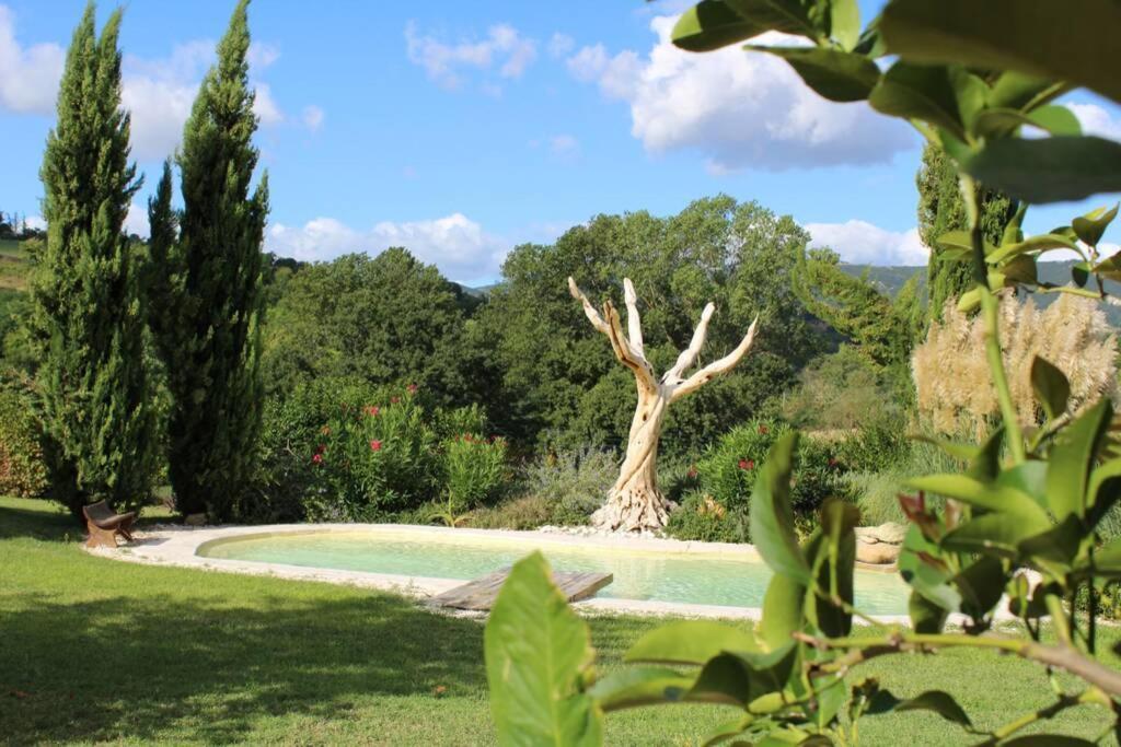 Casa Kikenda, Viaggio Nella Natura Treia Exterior foto