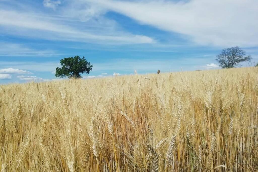 Casa Kikenda, Viaggio Nella Natura Treia Exterior foto