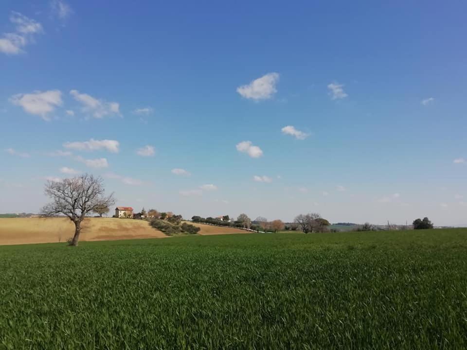 Casa Kikenda, Viaggio Nella Natura Treia Exterior foto