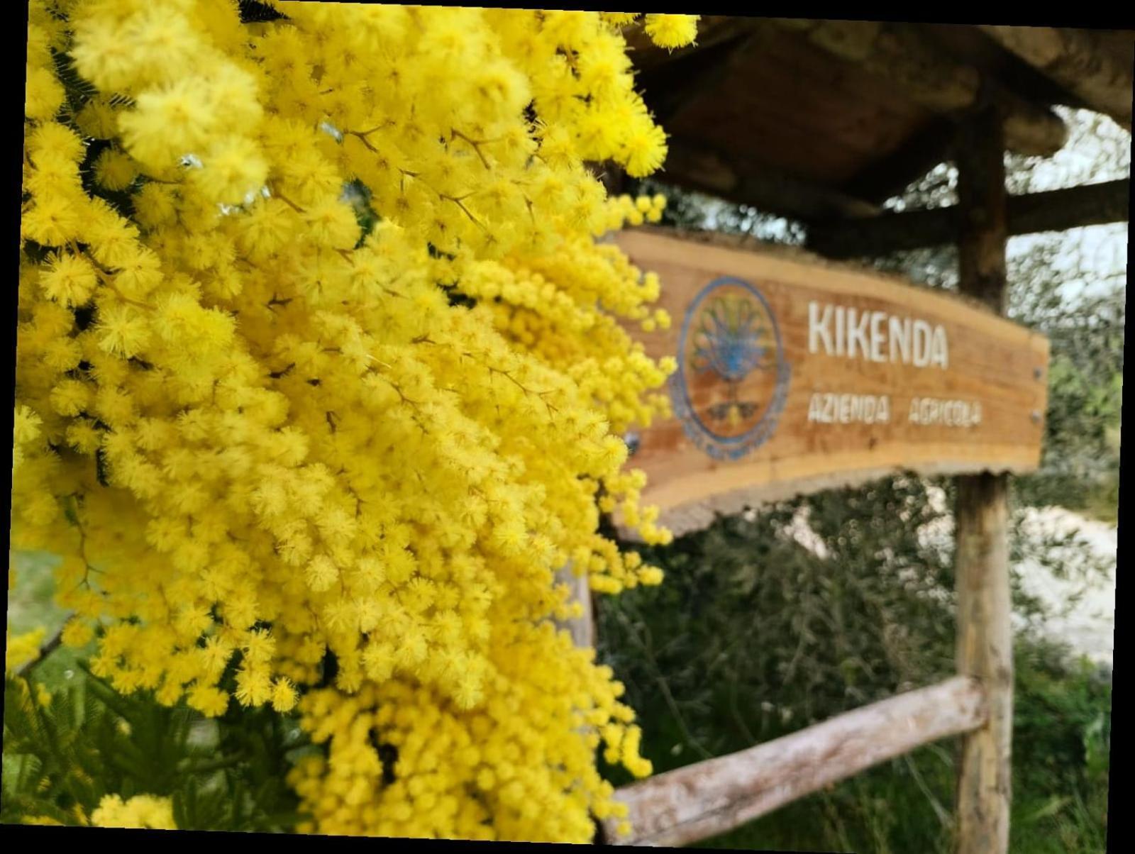 Casa Kikenda, Viaggio Nella Natura Treia Exterior foto
