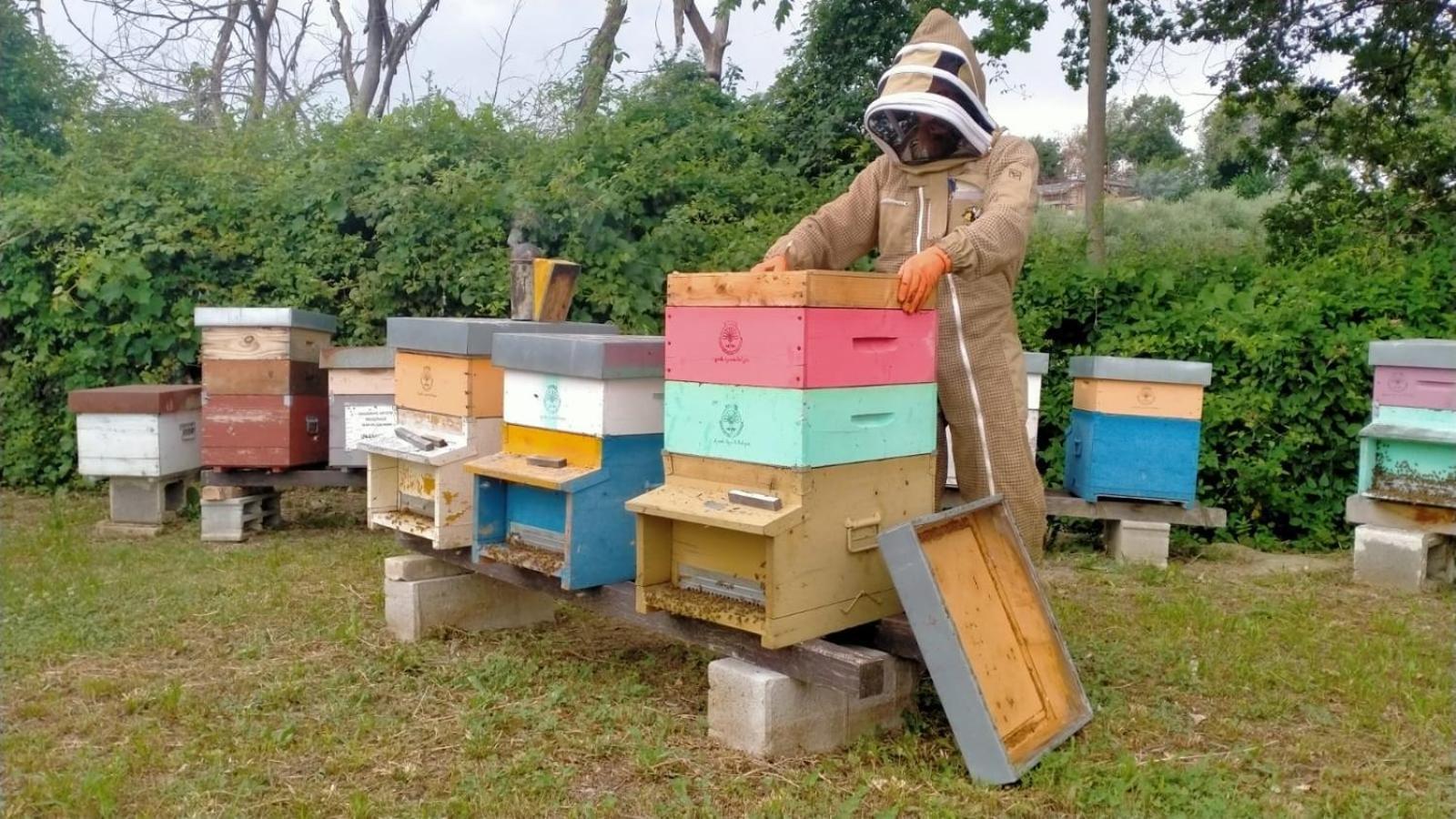 Casa Kikenda, Viaggio Nella Natura Treia Exterior foto