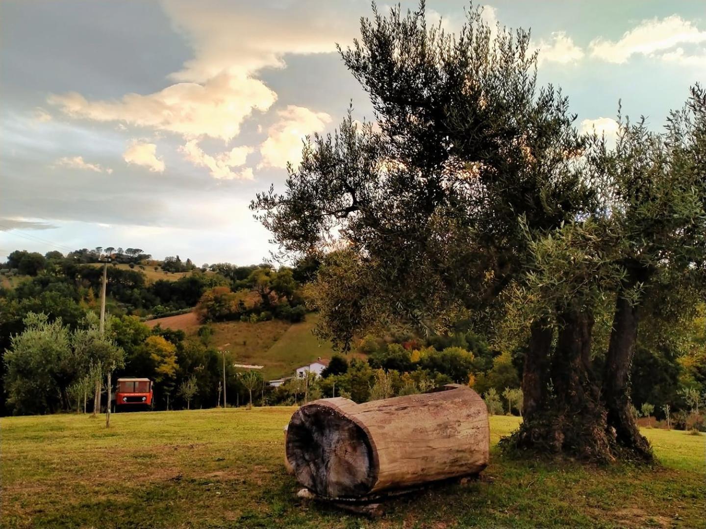Casa Kikenda, Viaggio Nella Natura Treia Exterior foto